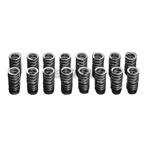 HKS Valve Spring Kit Nissan Skyline GT-R