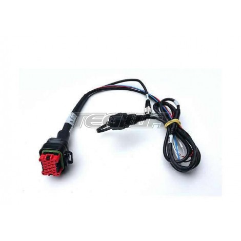 AIM MXS STRADA CAN AND RPM LOOM 14 PIN  