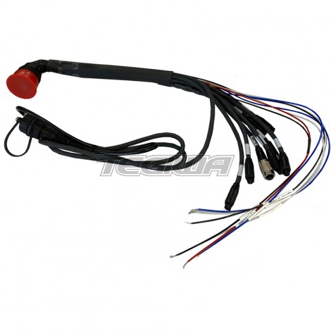 AIM 37 Pin Loom MXS, MXP, MXG, MXL 2