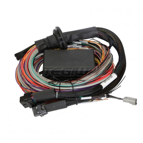 Haltech Elite 2500 Universal Wire-in Harness