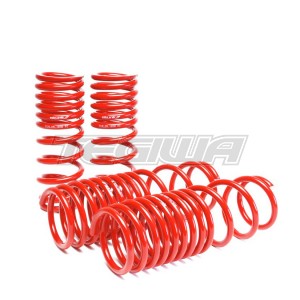 SKUNK2 LOWERING SPRINGS 90-97 HONDA ACCORD