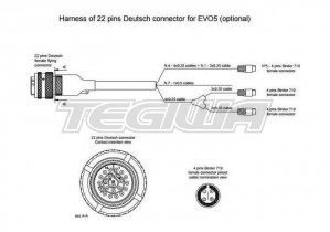 AIM EVO5 22 PIN HARNESS  