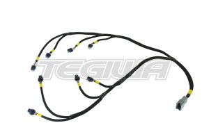 AEM Infinity Core Accessory Wiring Harness - GM LS Coils Ford Cyl