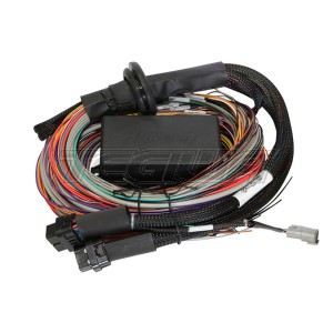 Haltech Elite 1500 Universal Wire-in Harness