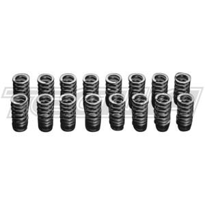 HKS Valve Spring Kit Nissan Skyline GT-R
