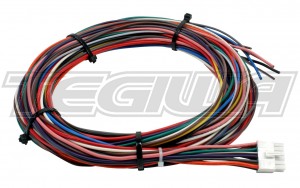AEM Wiring Harness For V2 Controller With Internal Map Sensor - Standard Or Hd