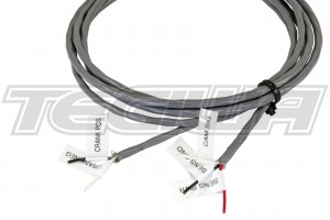 AEM Infinity Core Accessory Wiring Harness - HALL Cam / MAG Crank