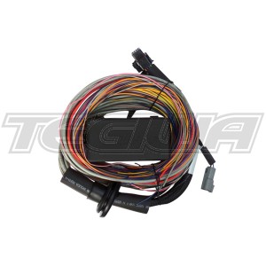 Haltech Elite 750 Universal Wire-in Harness